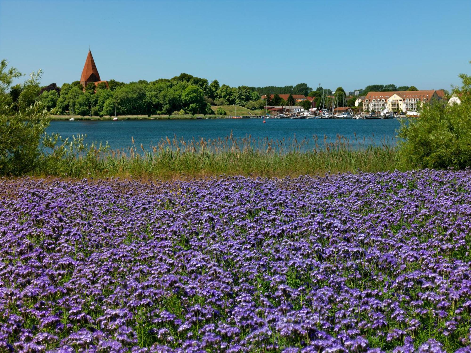 Daenisches Ferienhaus Kaltenhof Экстерьер фото